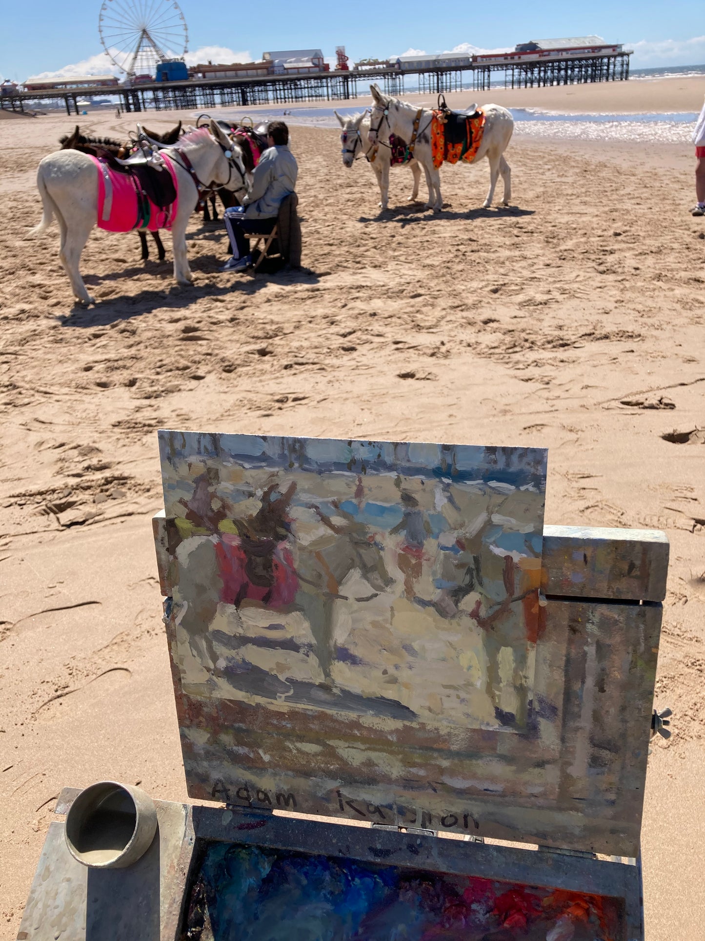 Beach Donkeys