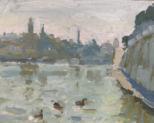 Ducks on the Guadalquivir River