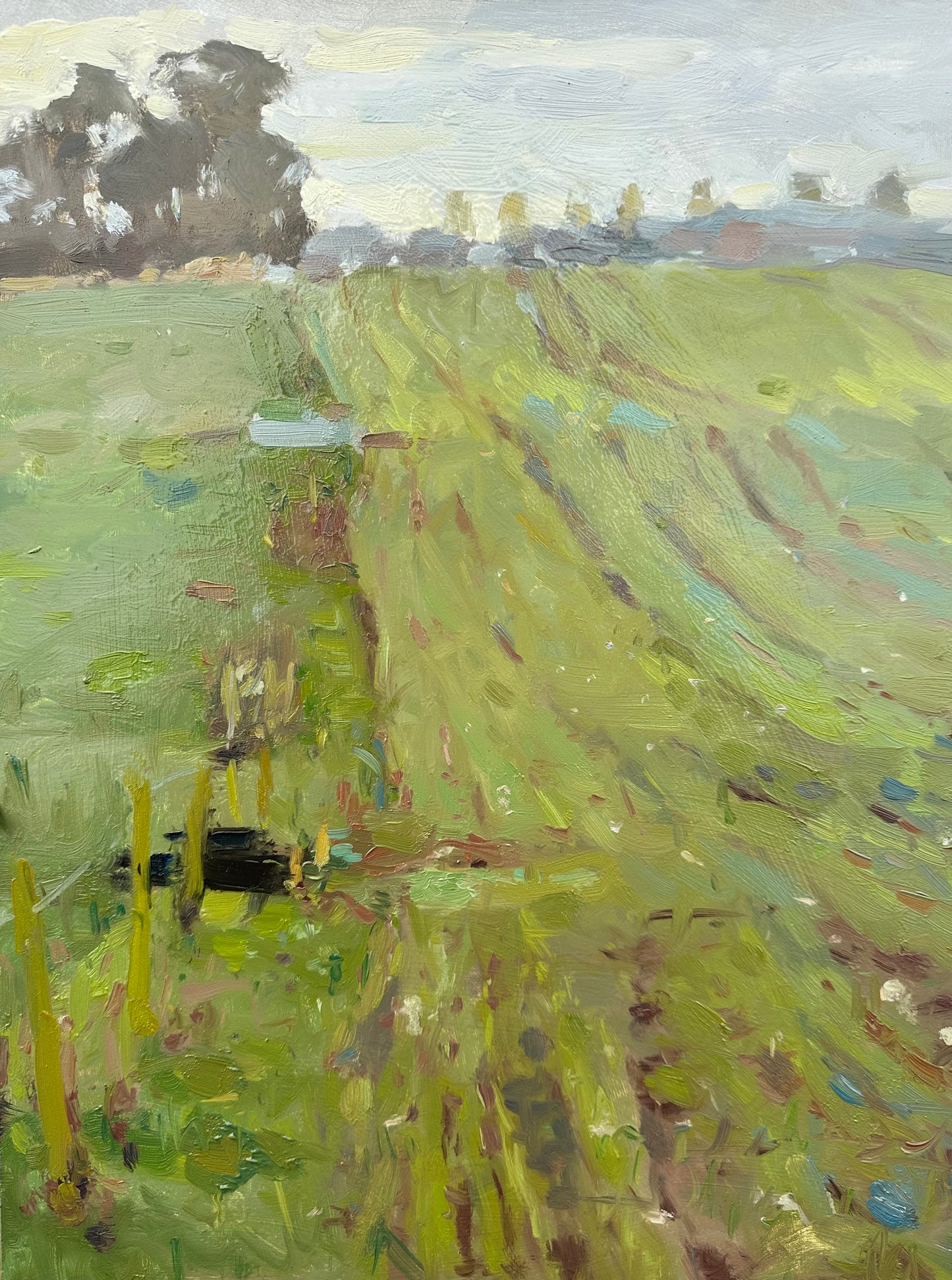 Green Muddy Fields near Kirkham and Wesham painted pleinair