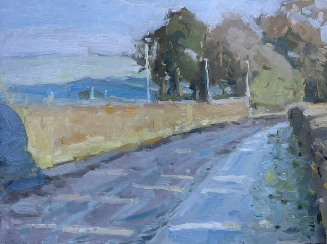 An oil painting depicting a rural landscape with a road, trees, and a hedge, with a shadow on the hedge at the end of the painting. Painted in Wesham, Kirkham by Northern artist Adam Ralston