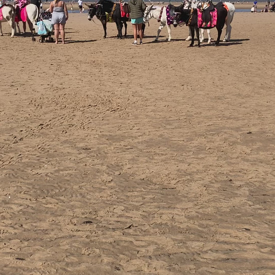 Video of a group of donkeys on the beach in Blackpool